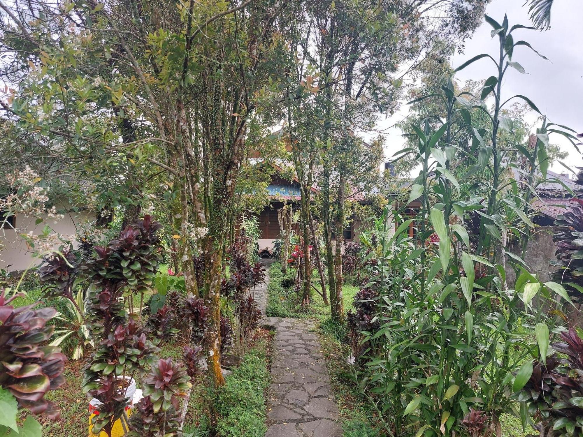Mountain View Homestay Tomohon Bagian luar foto